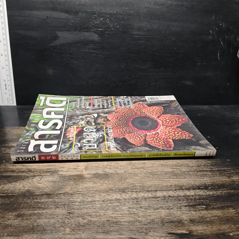 สารคดี ฉบับที่ 292 ปีที่ 25 มิถุนายน 2552 ครอบครัวบัวผุด รูปที่ 3
