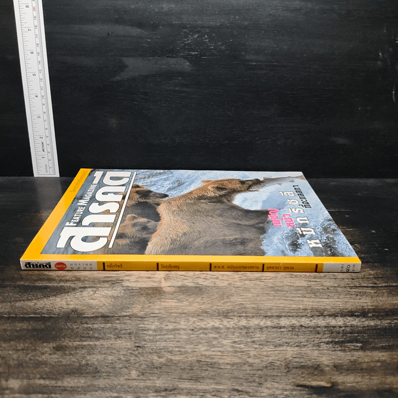 Feature Magazine สารคดี ปีที่ 16 ฉบับที่ 191 ม.ค.2544 รูปที่ 3
