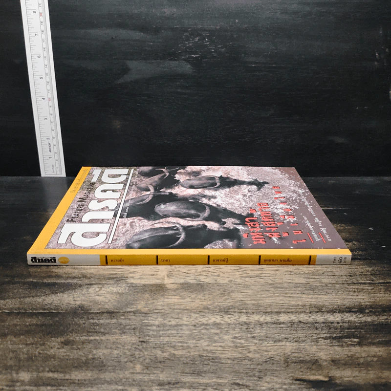 Feature Magazine สารคดี ฉบับที่ 153 ปีที่ 13 พ.ย.2540 รูปที่ 3