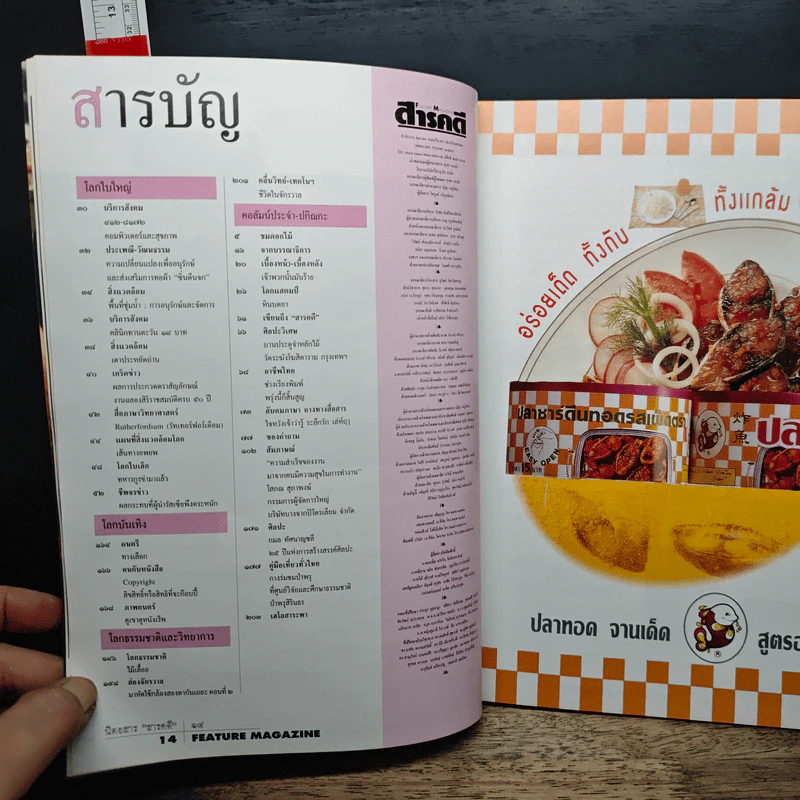 Feature Magazine สารคดี ฉบับที่ 120 ปีที่ 10 กุมภาพันธ์ 2538 รูปที่ 10