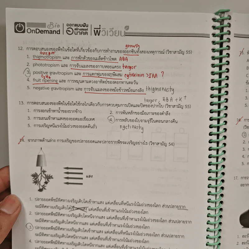 2220 การตอบสนองของพืชและฮอร์โมนพืช รูปที่ 7