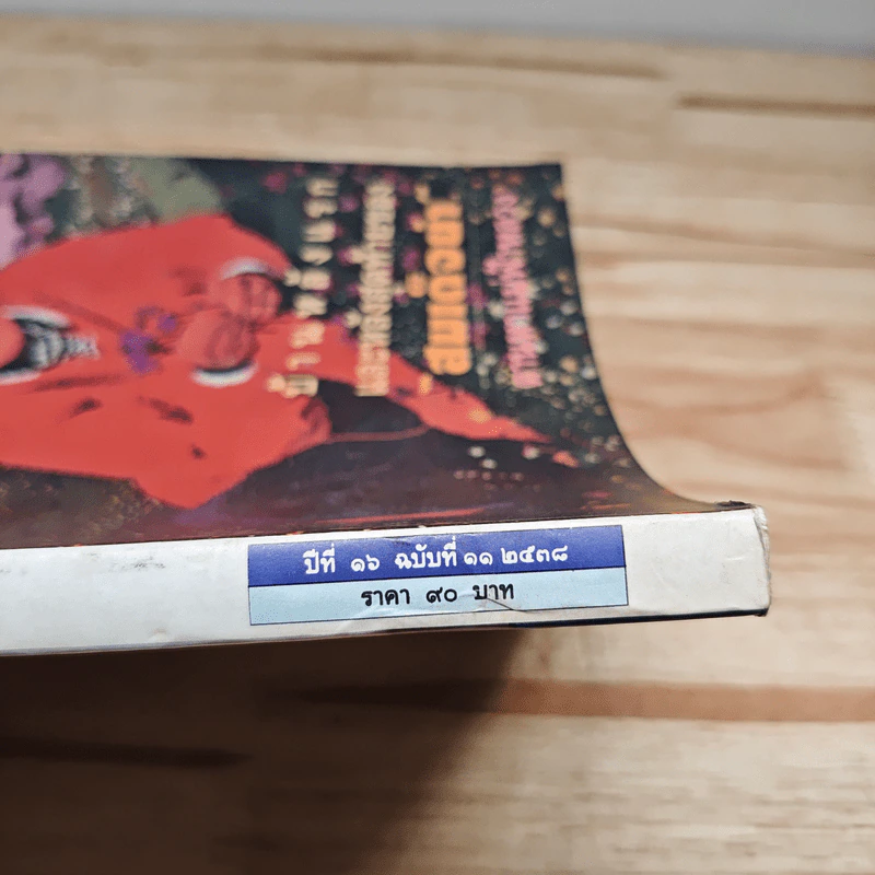ศิลปวัฒนธรรม ปีที่ 17 ฉบับที่ 11 2538 รูปที่ 3