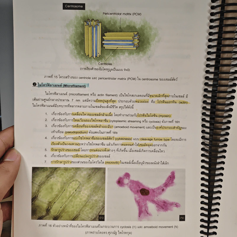 Biology ชีววิทยา - ดร.ศุภณัฐ ไพโรหกุล รูปที่ 11