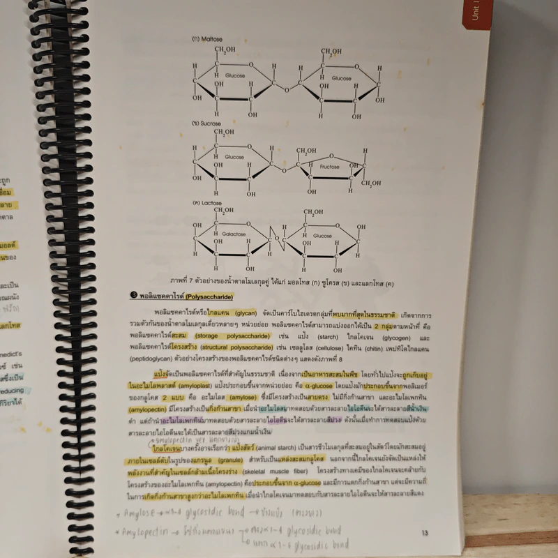 Biology ชีววิทยา - ดร.ศุภณัฐ ไพโรหกุล รูปที่ 10