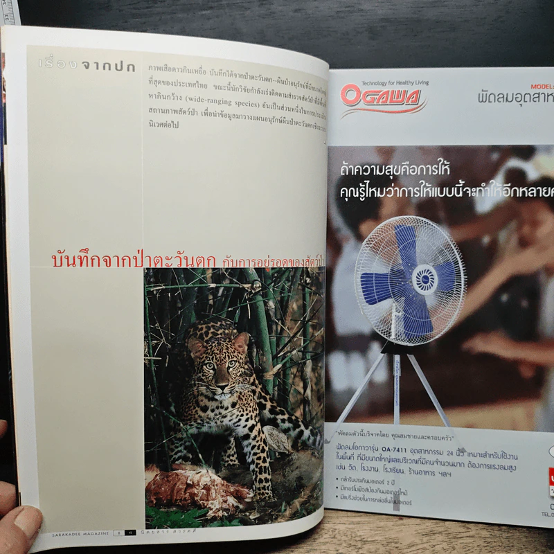 สารคดี ปีที่ 18 ฉบับที่ 213 พ.ย.2545 รูปที่ 7