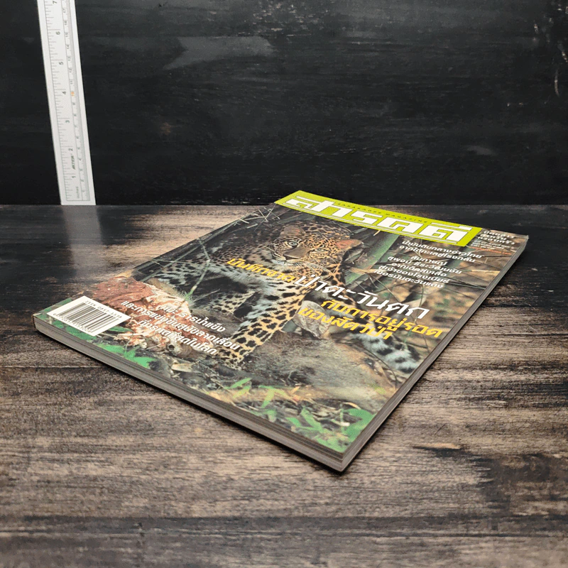 สารคดี ปีที่ 18 ฉบับที่ 213 พ.ย.2545 รูปที่ 4