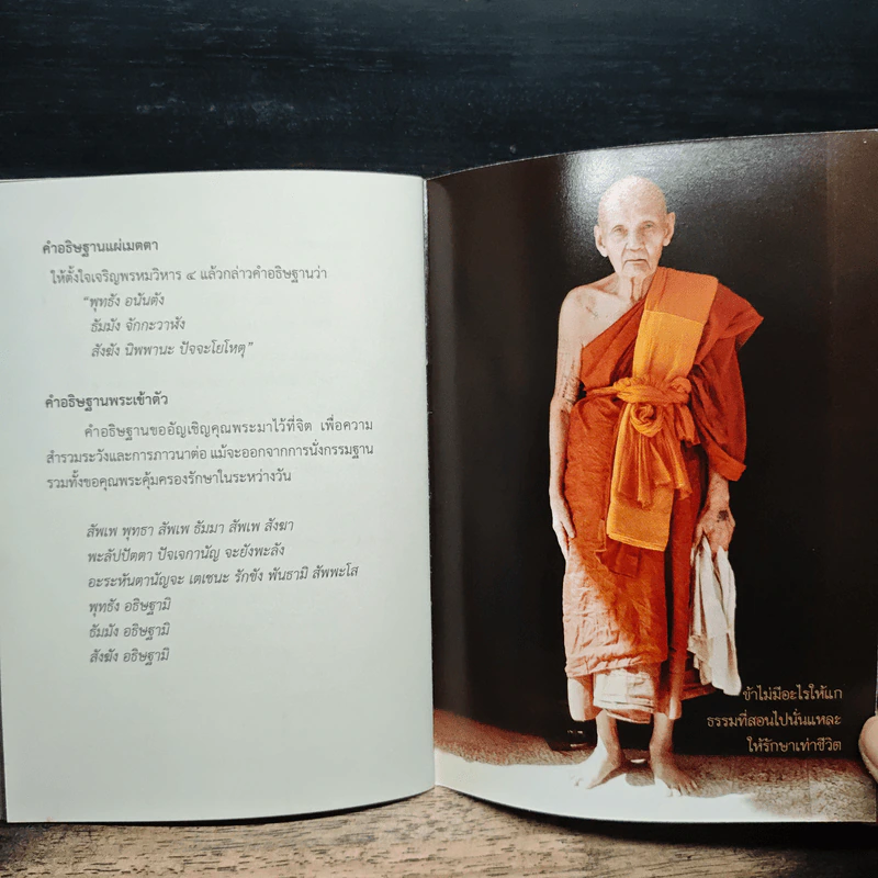 ตามรอยธรรม ย้ำรอยครู - หลวงปู่ดู่ พรหมปัญโญ รูปที่ 8