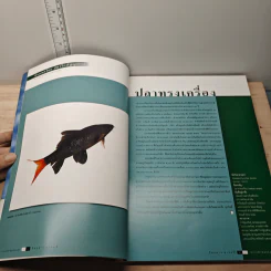 Feature Magazine สารคดี ปีที่ 15 ฉบับที่ 177 พ.ย.2542 รูปที่ 6