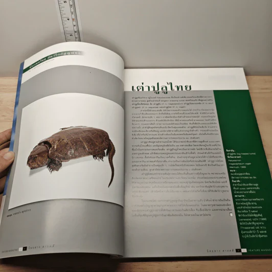 Feature Magazine สารคดี ปีที่ 15 ฉบับที่ 178 ธ.ค.2542 รูปที่ 6