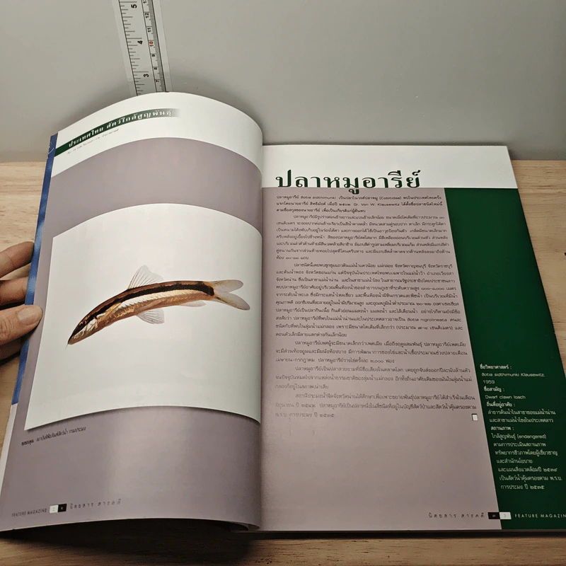 Feature Magazine สารคดี ปีที่ 15 ฉบับที่ 180 ก.พ.2543 รูปที่ 6