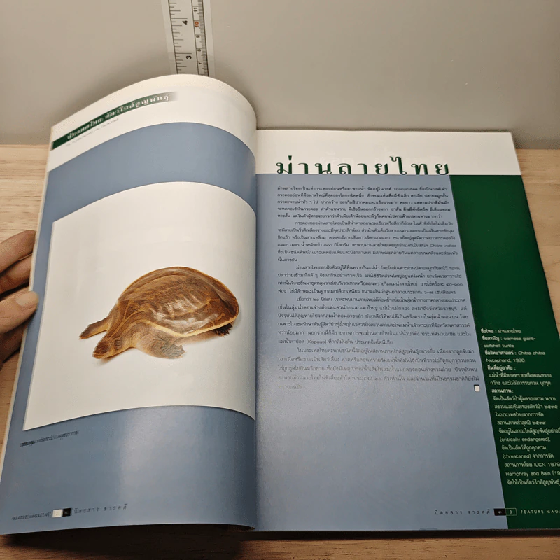 Feature Magazine สารคดี ปีที่ 15 ฉบับที่ 176 ต.ค.2542 รูปที่ 6