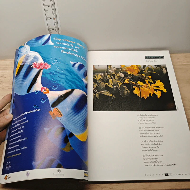 Feature Magazine สารคดี ปีที่ 15 ฉบับที่ 179 ม.ค.2543 รูปที่ 6