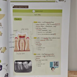 Bio Map ชีววิทยาพี่วิเวียน เล่ม 2 - พี่วิเวียน รูปที่ 9