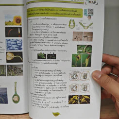 Bio Map ชีววิทยาพี่วิเวียน เล่ม 2 - พี่วิเวียน รูปที่ 11