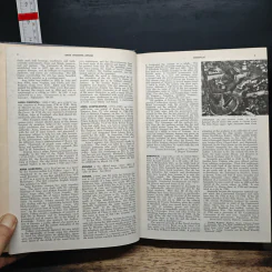 Encyclopedia Americana Vol.2 รูปที่ 8