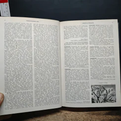 Encyclopedia Americana Vol.12 รูปที่ 8
