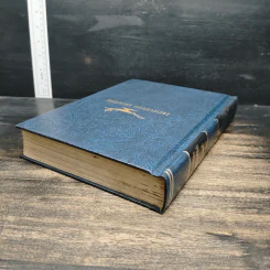 Encyclopedia Americana Vol.10 รูปที่ 5