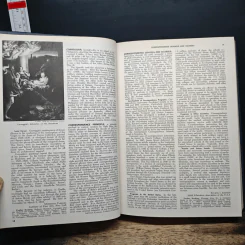 Encyclopedia Americana Vol.8 รูปที่ 8