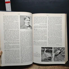 Encyclopedia Americana Vol.8 รูปที่ 9