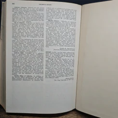 Encyclopedia Americana Vol.5 รูปที่ 10