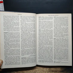 Encyclopedia Americana Vol.4 รูปที่ 8