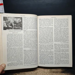 Encyclopedia Americana Vol.4 รูปที่ 9