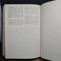 Encyclopedia Americana Vol.23 รูปที่ 10