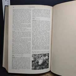Encyclopedia Americana Vol.22 รูปที่ 10
