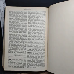 Encyclopedia Americana Vol.17 รูปที่ 10