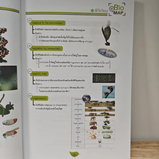 Bio Map ชีววิทยาพี่วิเวียน เล่ม 1 - พี่วิเวียน รูปที่ 8