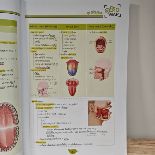 Bio Map ชีววิทยาพี่วิเวียน เล่ม 2 - พี่วิเวียน รูปที่ 10