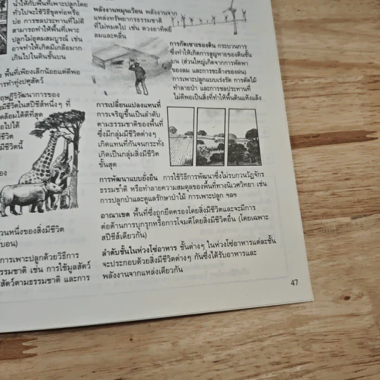 นิเวศวิทยา ชุดวิทยาศาสตร์ และการทดลลอง รูปที่ 10