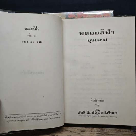 พลอยสีฟ้า 2 เล่มจบ - บุษยมาส รูปที่ 6