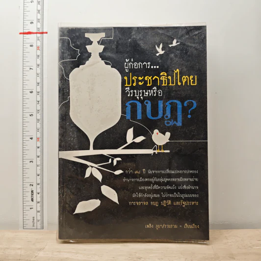 ผู้ก่อการประชาธิปไตย วีรบุรุษหรือกบฏ? - เพลิง ภูผา รูปที่ 1