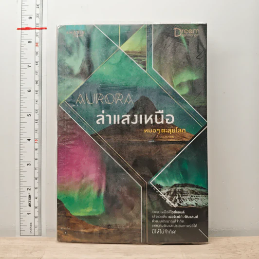 Aurora ล่าแสงเหนือ - หมอๆตะลุยโลก รูปที่ 1