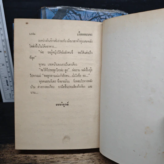 เลือดพเนจร 2 เล่มจบ - ไพร วิษณุ รูปที่ 9