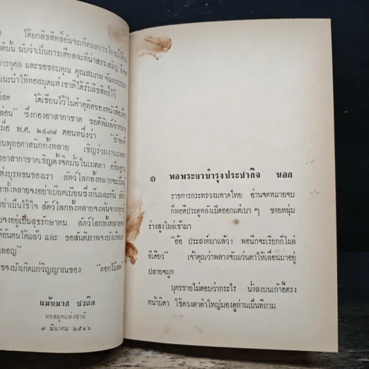 ศัตรูของเจ้าหล่อน - ดอกไม้สด รูปที่ 8