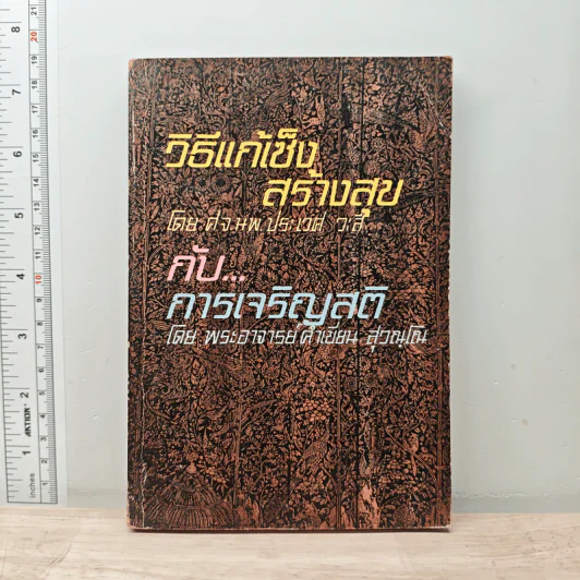 วิธีแก้เซ็ง สร้างสุข กับ การเจริญสติ - พระอาจารย์คำเขียน สุวณฺโณ รูปที่ 1