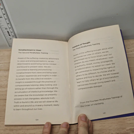 How to See - Thich Nhat Hanh รูปที่ 8