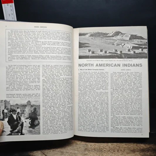 Encyclopedia Americana Vol.15 รูปที่ 8