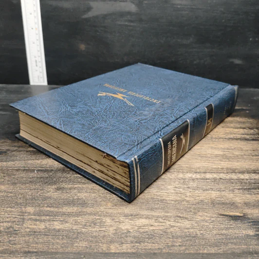 Encyclopedia Americana Vol.14 รูปที่ 5