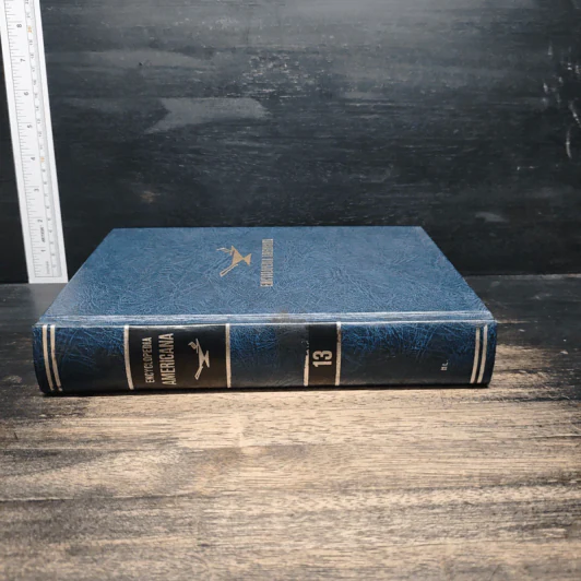 Encyclopedia Americana Vol.13 รูปที่ 3