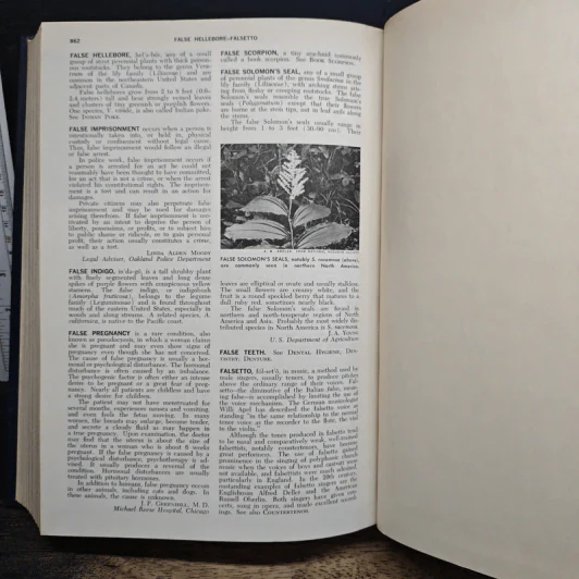 Encyclopedia Americana Vol.10 รูปที่ 10