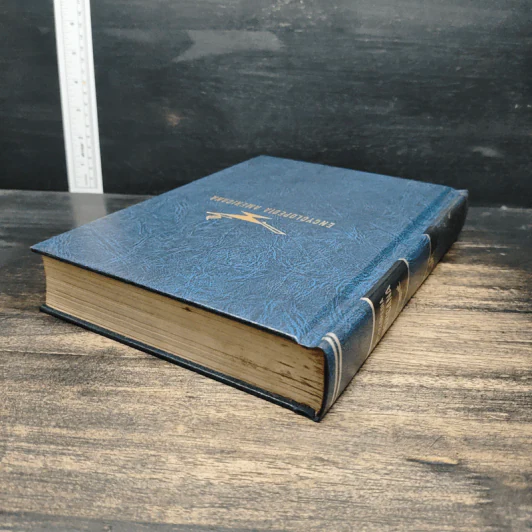 Encyclopedia Americana Vol.10 รูปที่ 5