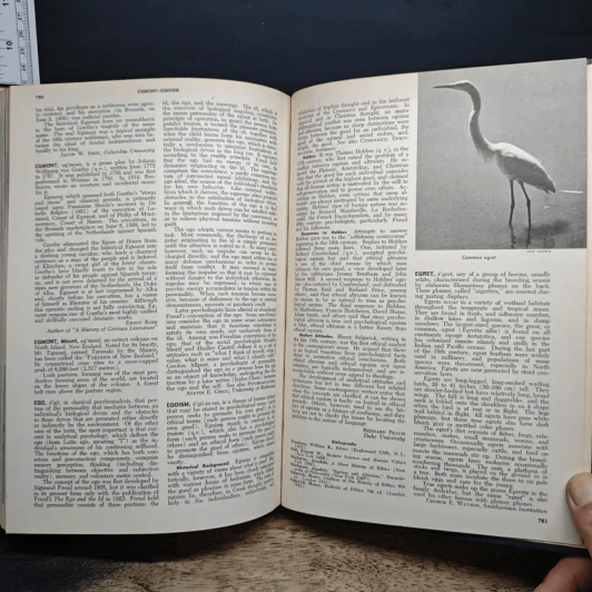 Encyclopedia Americana Vol.9 รูปที่ 9
