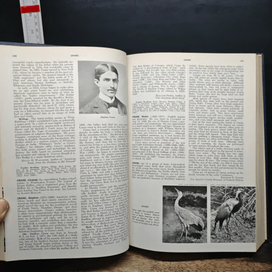 Encyclopedia Americana Vol.8 รูปที่ 9