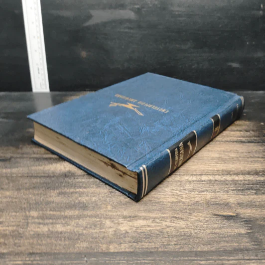 Encyclopedia Americana Vol.8 รูปที่ 5