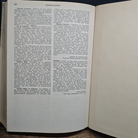 Encyclopedia Americana Vol.5 รูปที่ 10