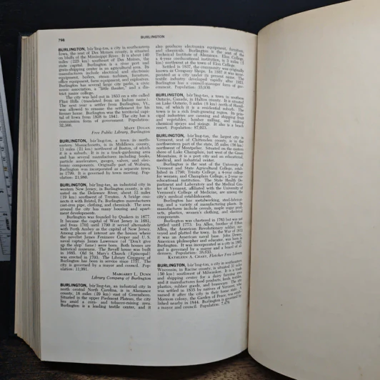 Encyclopedia Americana Vol.4 รูปที่ 10
