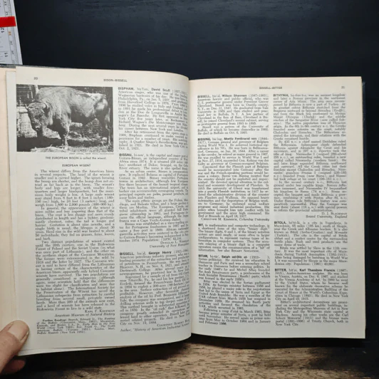 Encyclopedia Americana Vol.4 รูปที่ 9